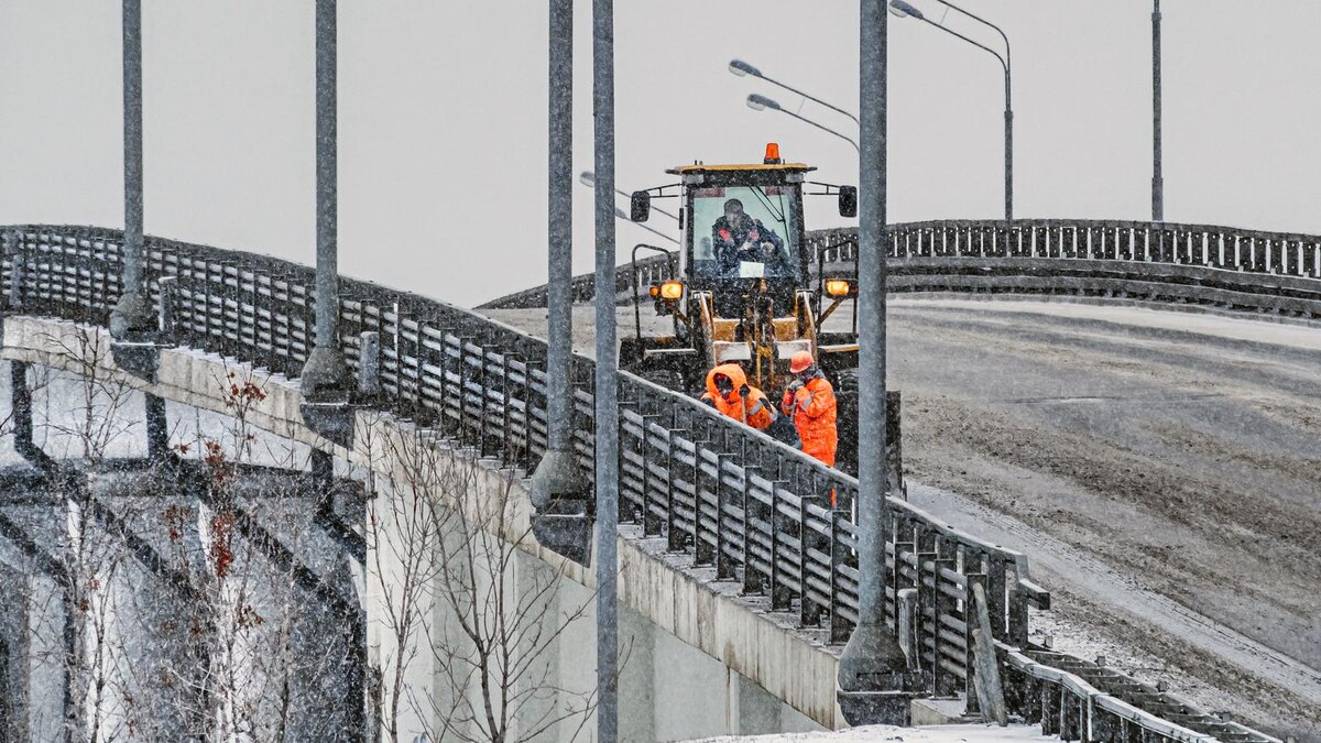    Фото: ИЗВЕСТИЯ/Константин Кокошкин