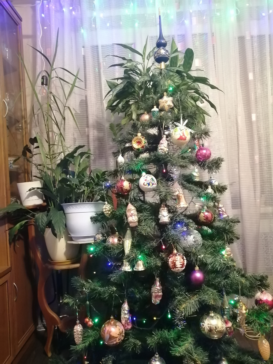 Елочка нарядная в гости к нам пришла... 