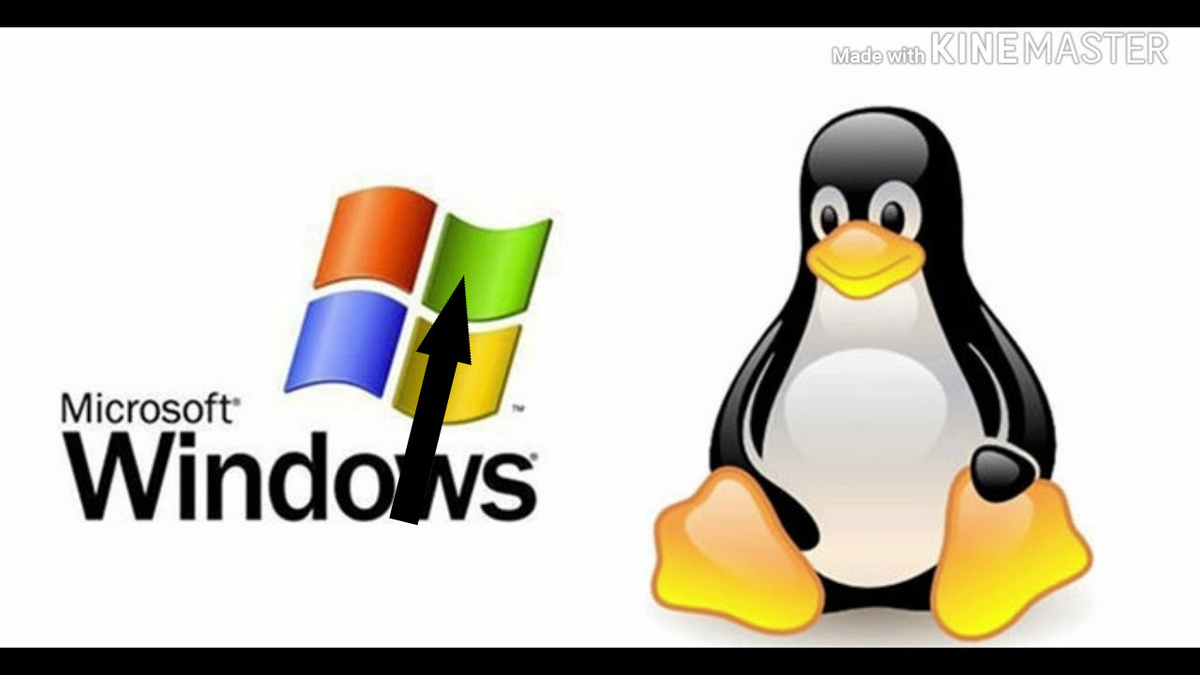    Падение Windows: пользователи массово переходят на Linux