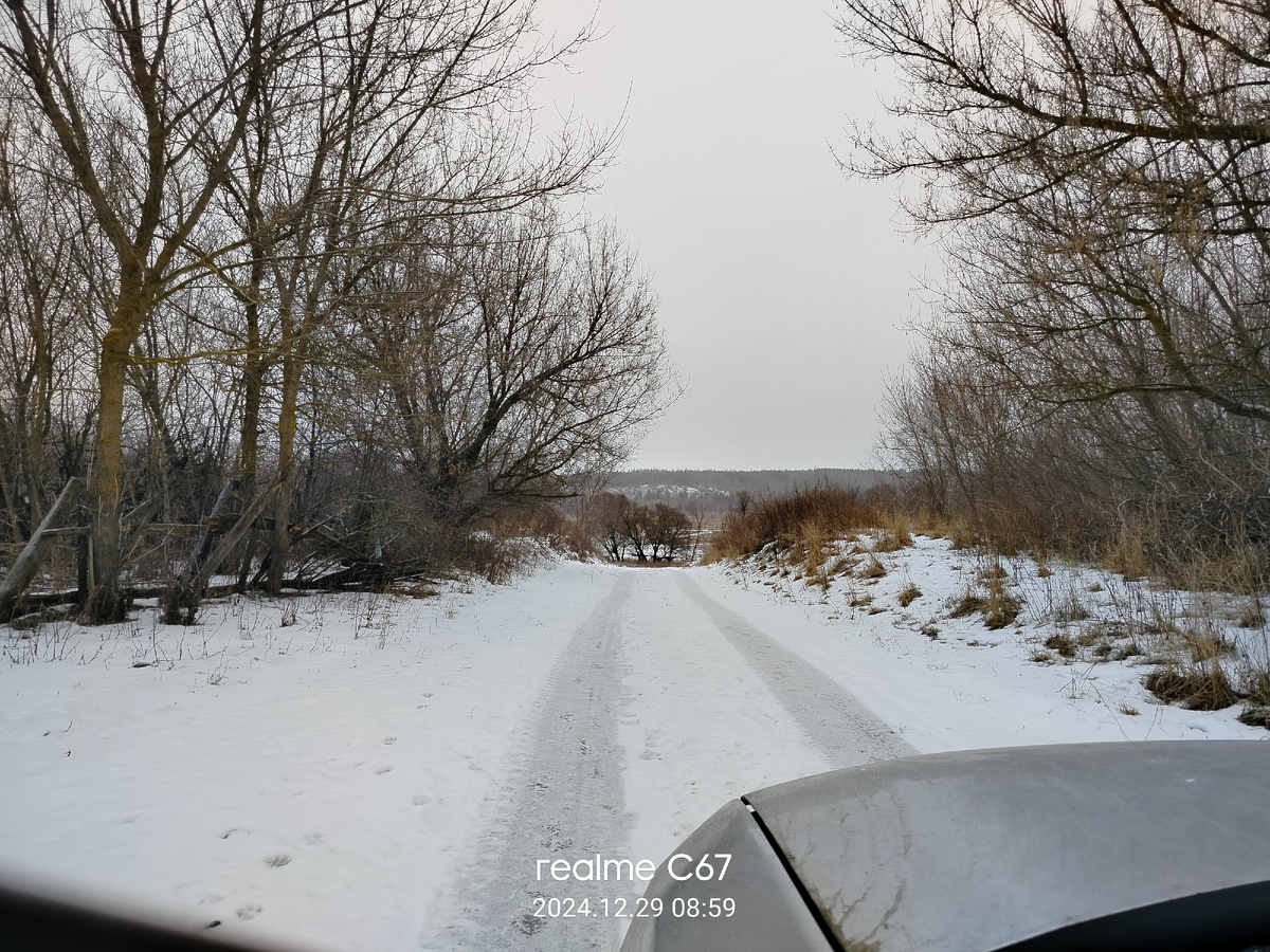 Там чудеса, камрад там бродит, лопатой по земле стучит, хабару деду дань приносит что б дед в замен находок подарил.. По тем холмам блуждая бесконечно он землю роет целый день а дед с ехидною улыбкой швыряет мусор под прибор, проверив терпеливость и усердие подкинет древний артефакт, камрад нагнувшись за находкой спасибо скажет деду за хабар....