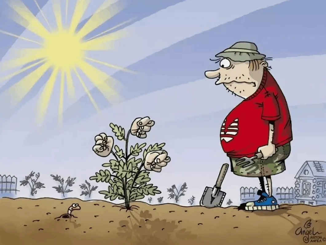 С надеждой смотрим на освоение своего участка!