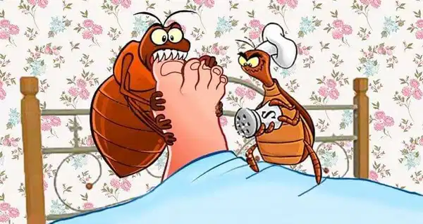 Фото с просторов интернета