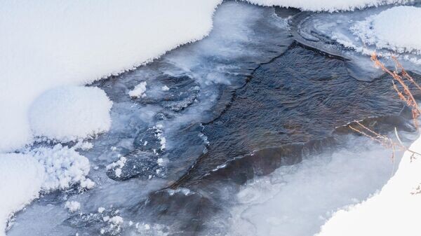    © Sputnik / Natalia Airiyan