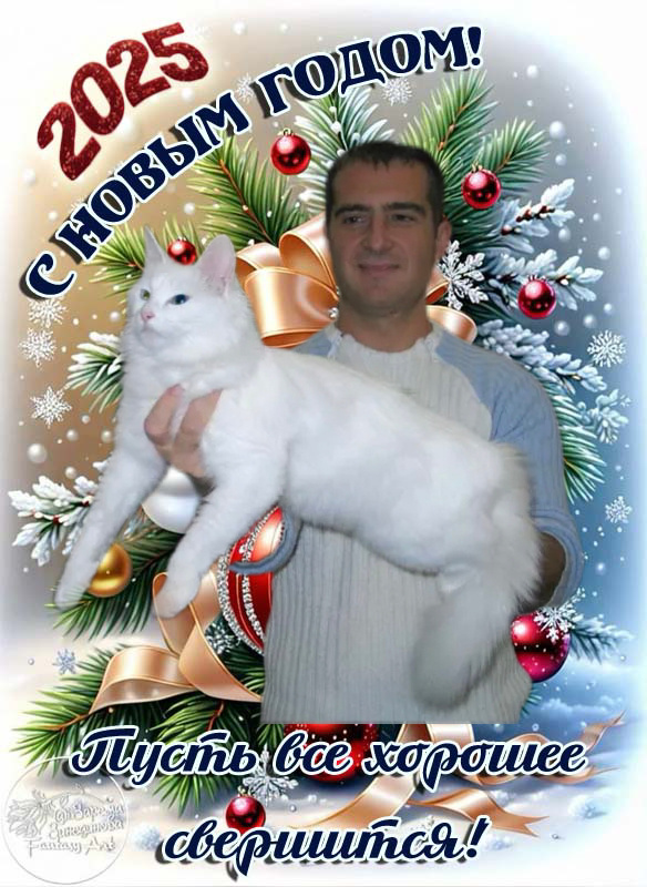 Фото из интернета. Саша, кот. Оксана.Измена. 