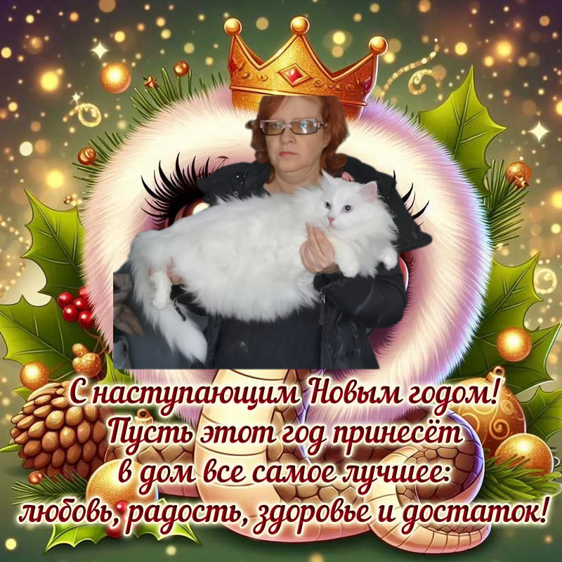 Фото из интернета. "Она" и кот. 