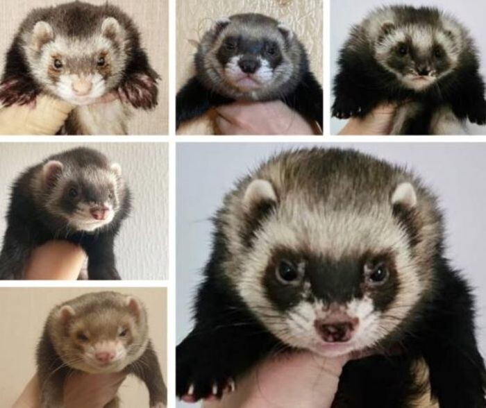 Источник фото: © «Панорама»