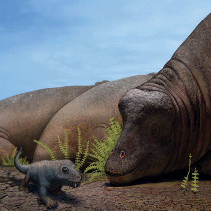 - Что за мелочь ходит?