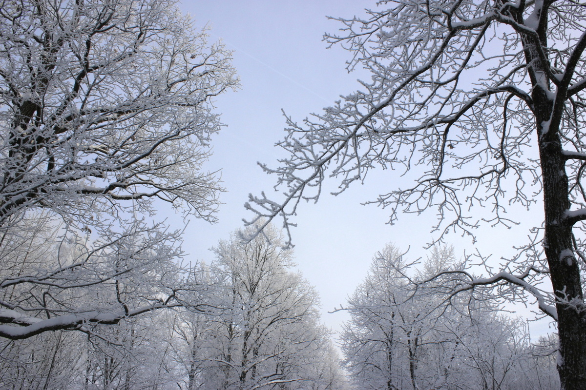   Фото: Photorobus.ru