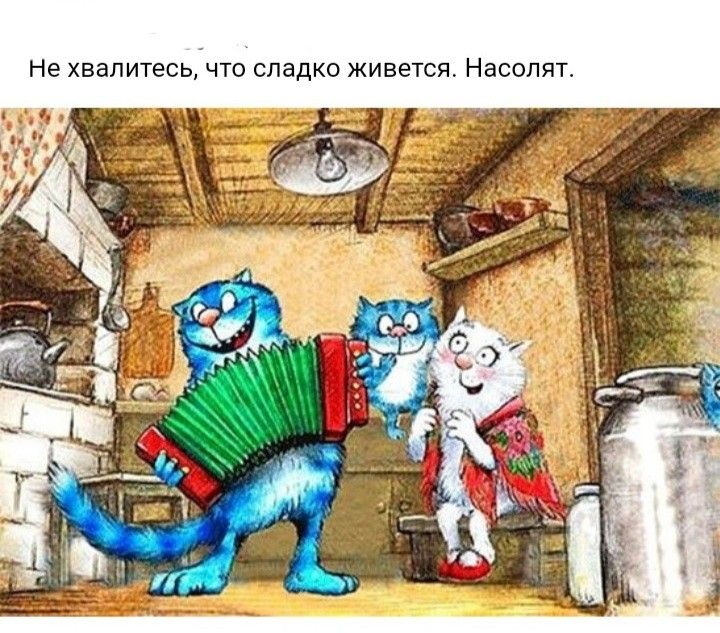 очаровательные коты Рины Зенюк