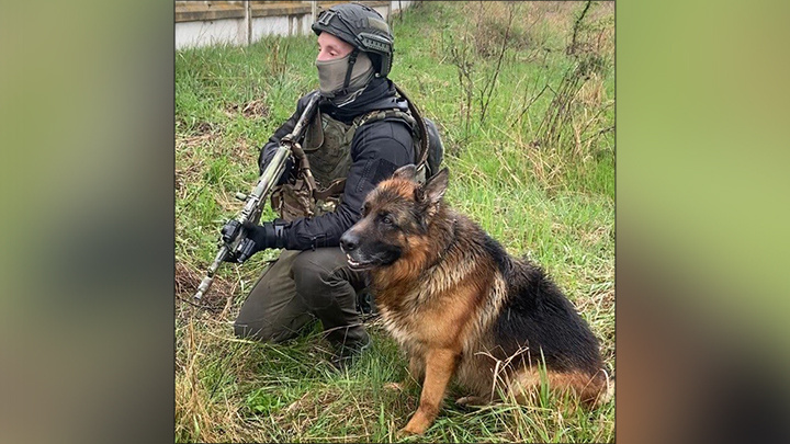    Никита и Конан - "ветераны" СВО. Фото предоставлено Никитой Чеховым