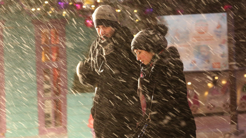    Фото: © РИА Новости/Виталий Белоусов