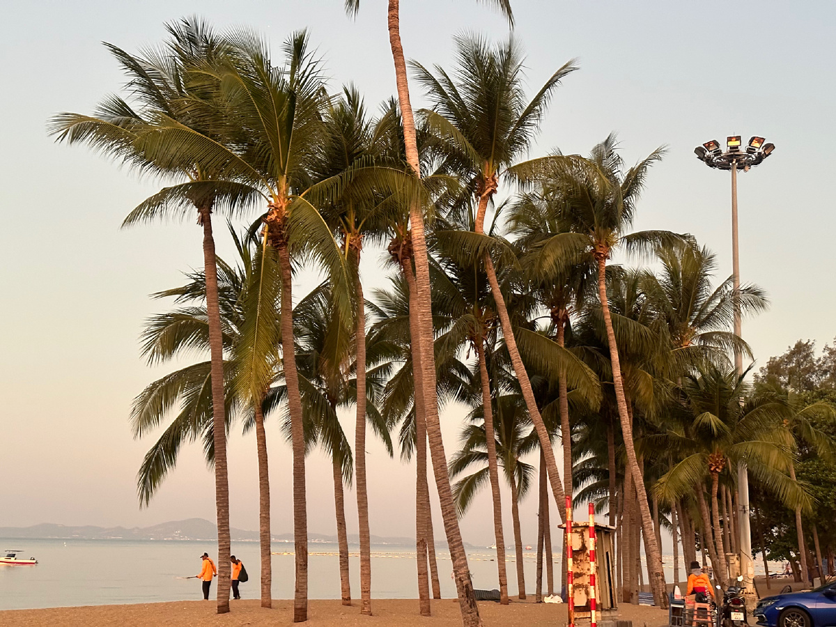 В Новый год под пальмами.