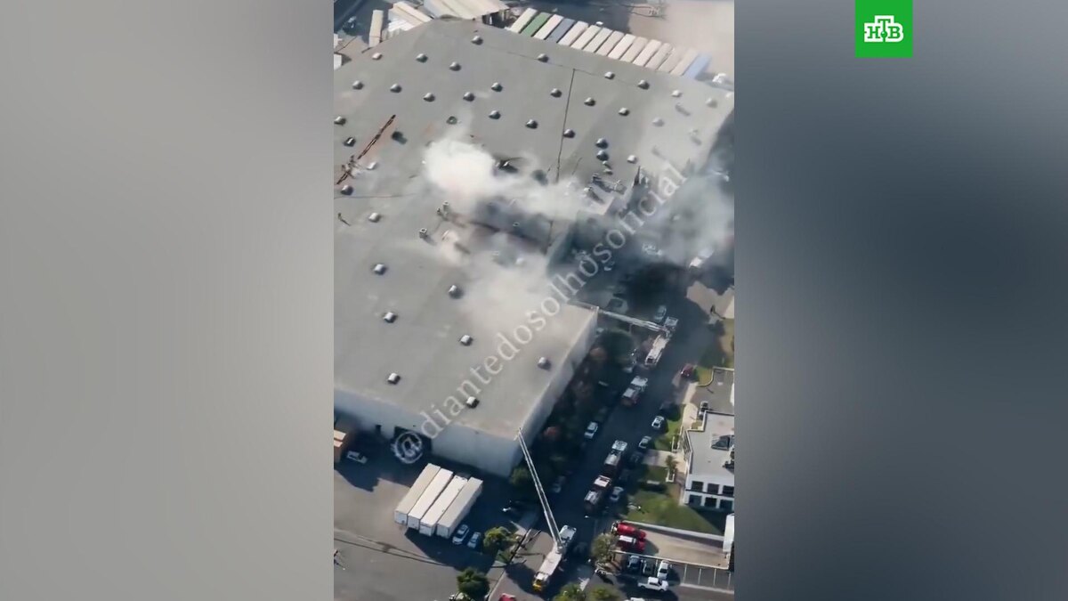    Фото: соцсети