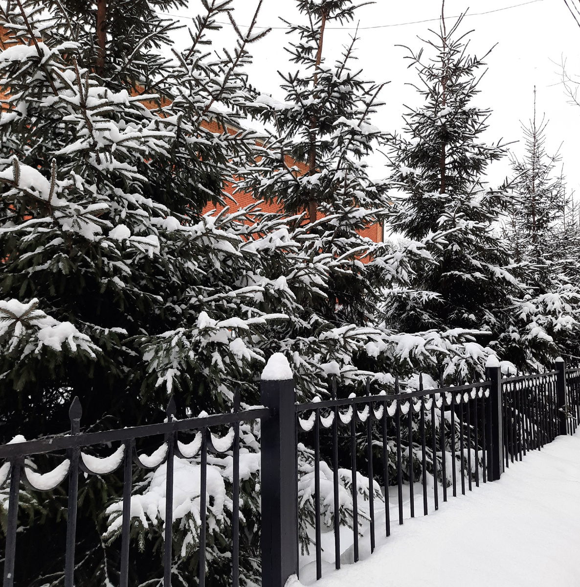 Фото прошлой зимы.