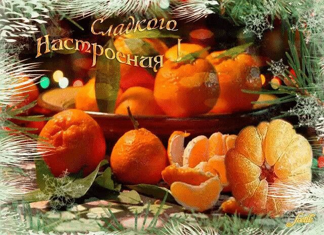 Яндекс Открытый источник 