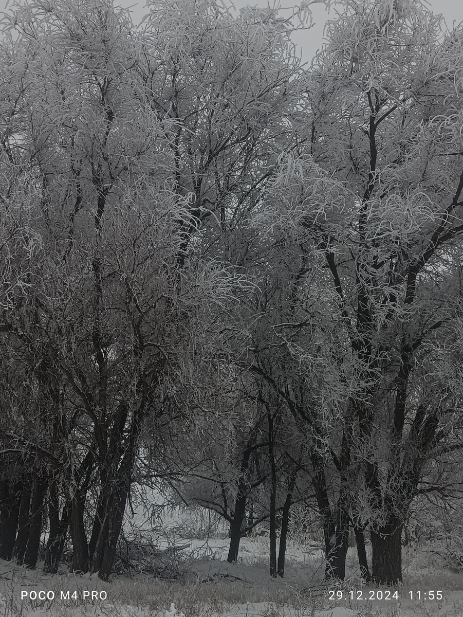 красивая картинка из прошлого года, сейчас всё выглядит куда как плачевнее