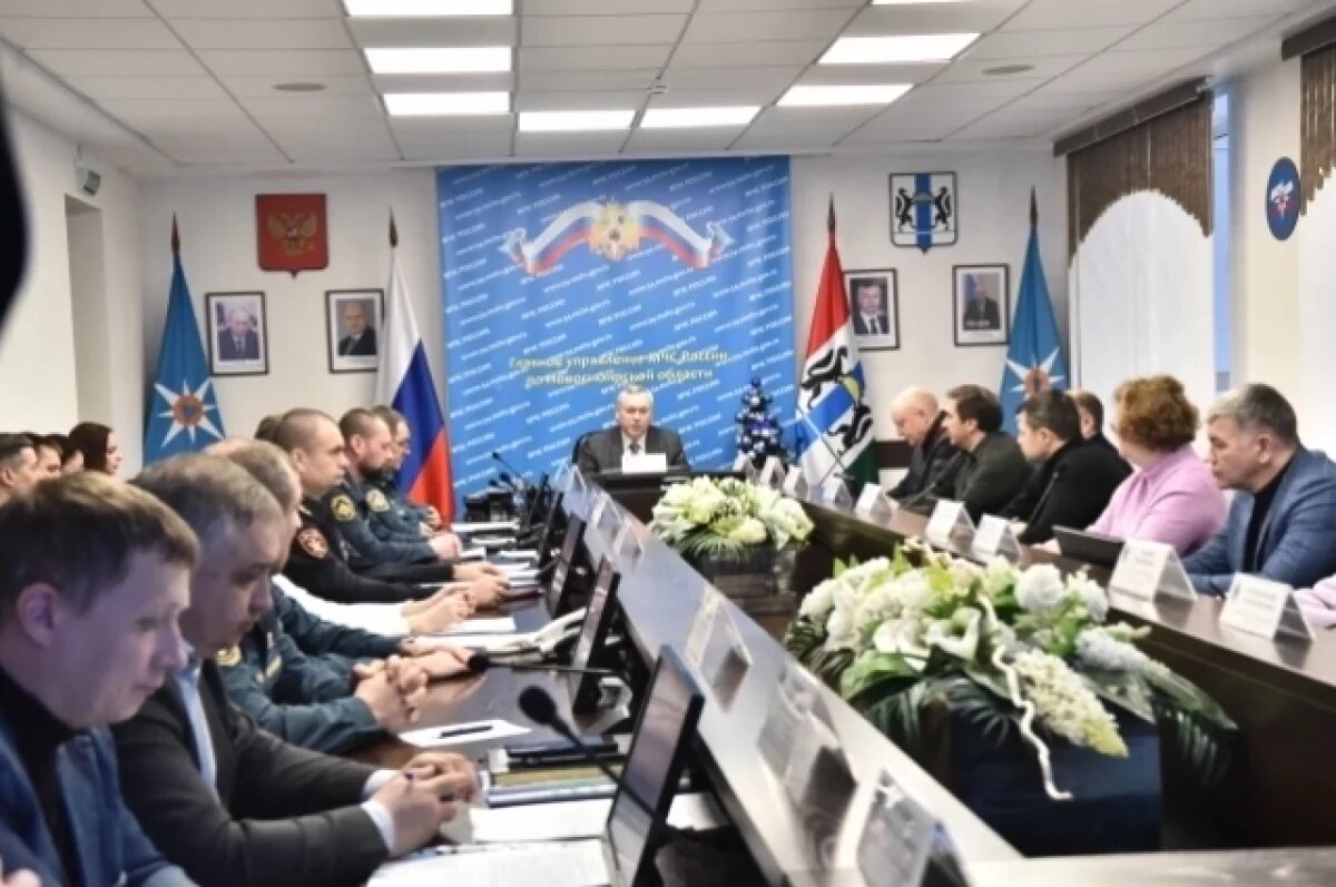    Итоги первых дней 2025 года в Новосибирской области подвёл губернатор
