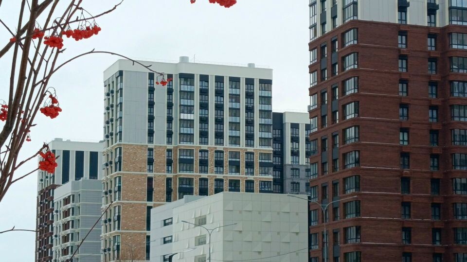    Квартал новостроек между улицами 65 лет Победы, 280-летия Барнаула, С. Семенова и Солнечная Поляна. Источник: Илья Кочетков/"Толк"