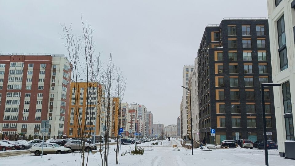    Квартал новостроек между улицами 65 лет Победы, 280-летия Барнаула, С. Семенова и Солнечная Поляна. Источник: Илья Кочетков/"Толк"