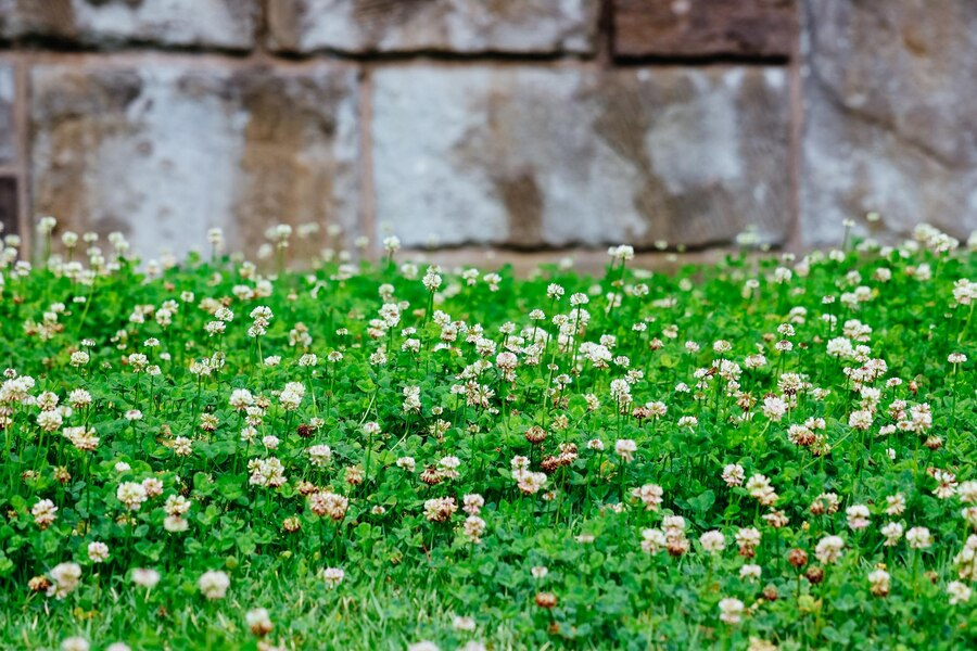 Designed by Freepik. Источник: www.freepik.com