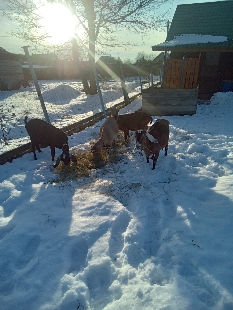 Фото автора.