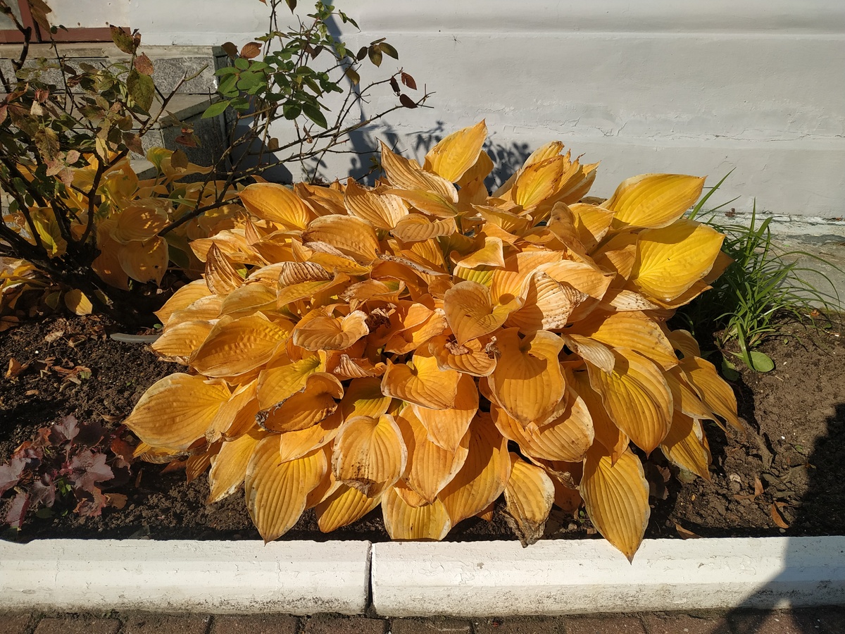 Мотивачия очень важна