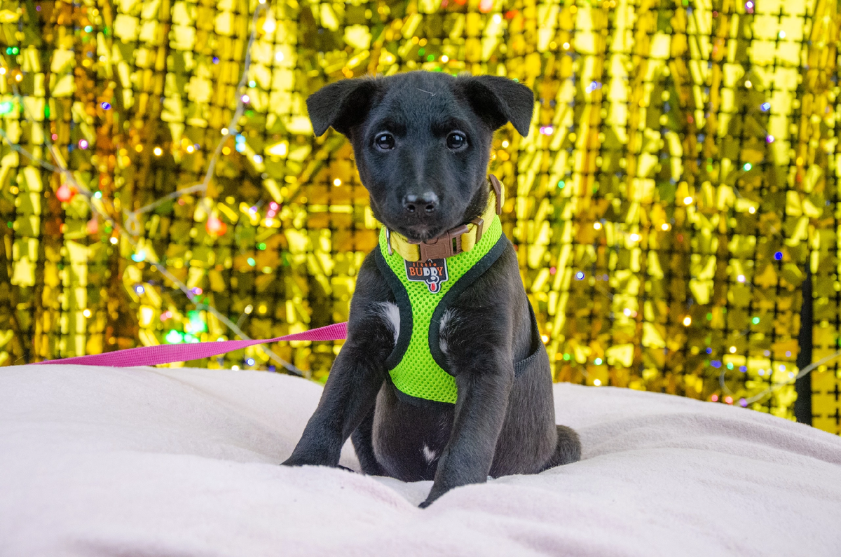 Олимпия❤️