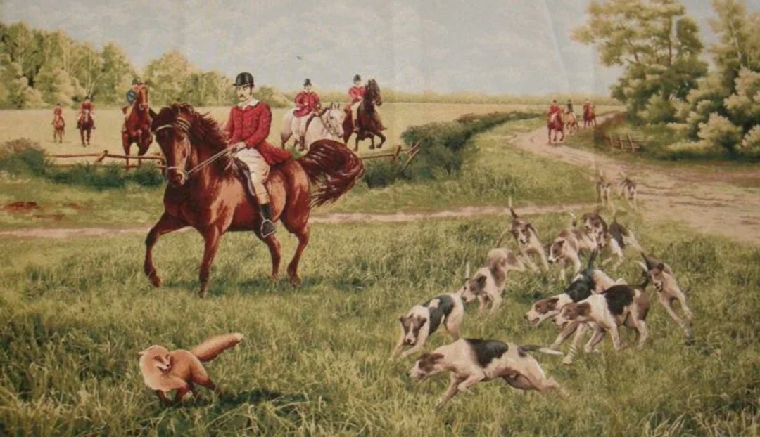 Охота на лис в Англии, из интернета.