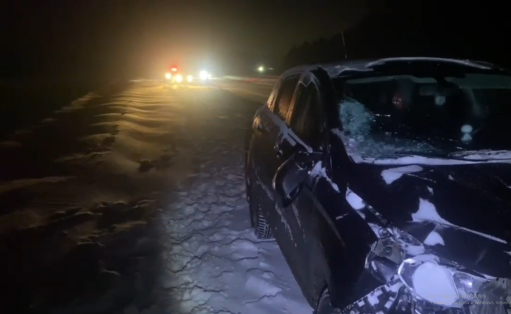    Фото: госавтоинспекция Пермского края Алена Калашникова