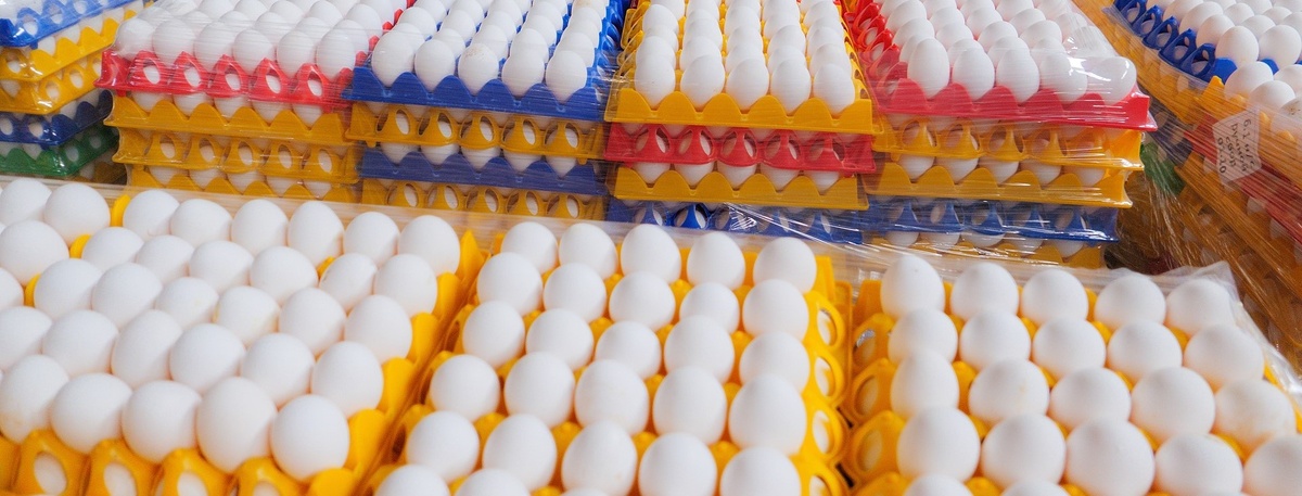    Автор фото: Валентин Беликов / "ДП"