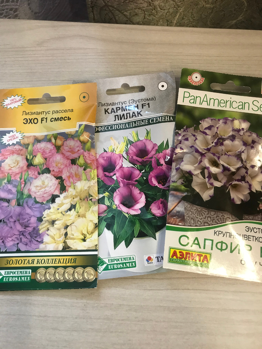 эустома (лизиантус)

