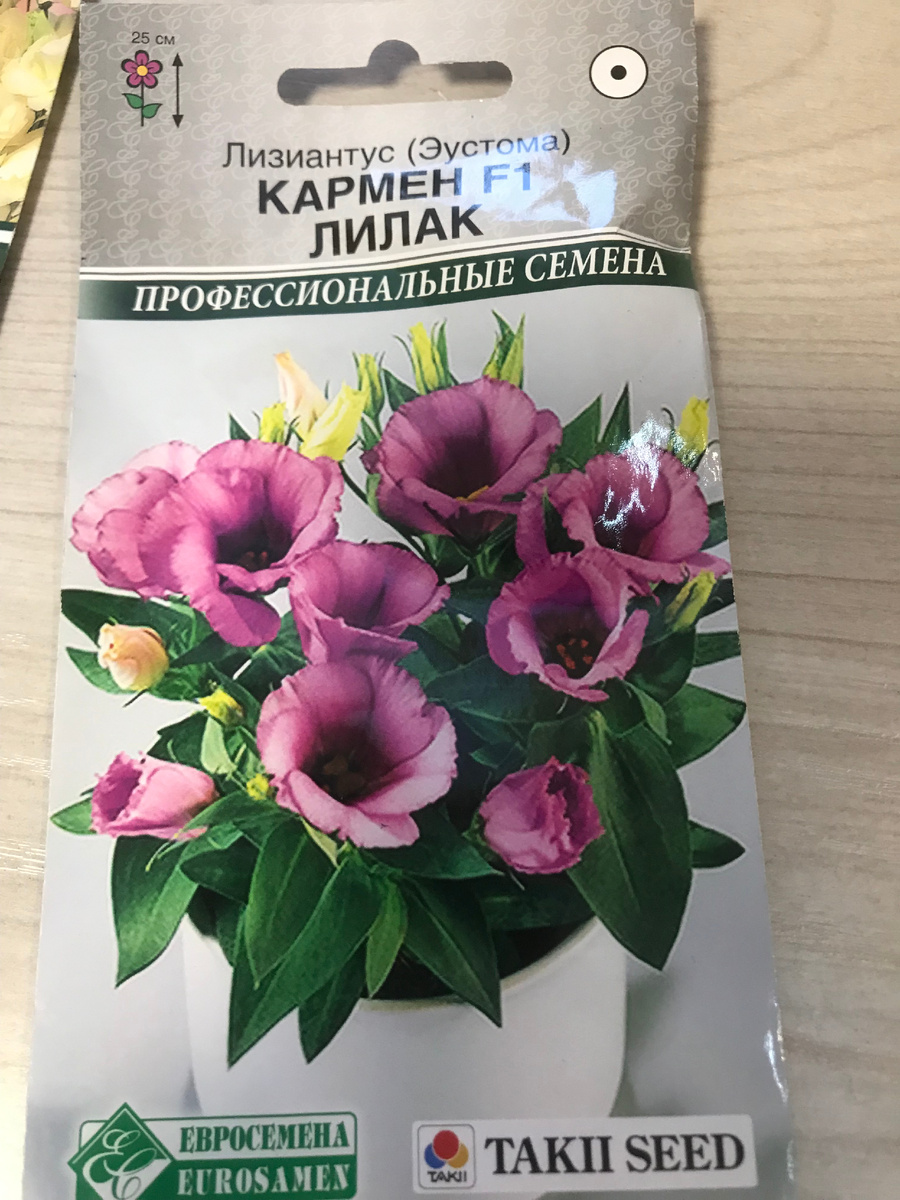 эустома кармен Лилак-48,80(самая дешевая)