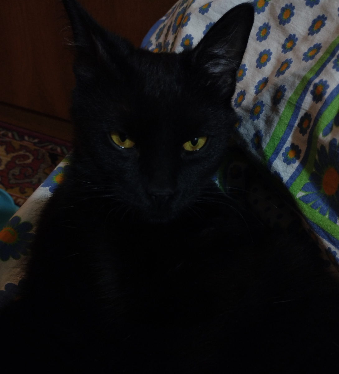 Если долго всматриваться в бездну, бездна начнет всматриваться в тебя :)