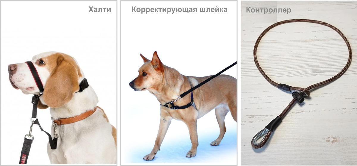 Халти и корректирующая шлейка разворачивают собаку в обратную сторону в тот момент, когда она тянет поводок. А ошейник-контроллер располагается за ушками и под челюстью собаки, где нет мышечного каркаса, а потому доставляет ощутимый дискомфорт при натяжении поводка. 