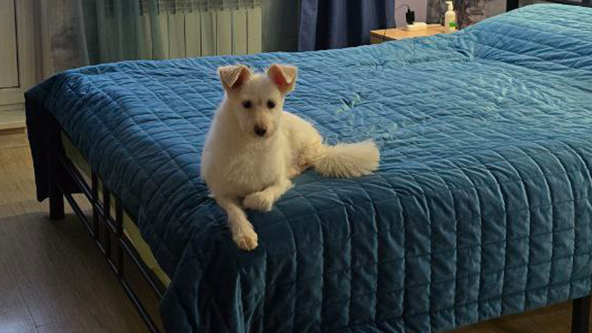 Какая красавица, вы только посмотрите!