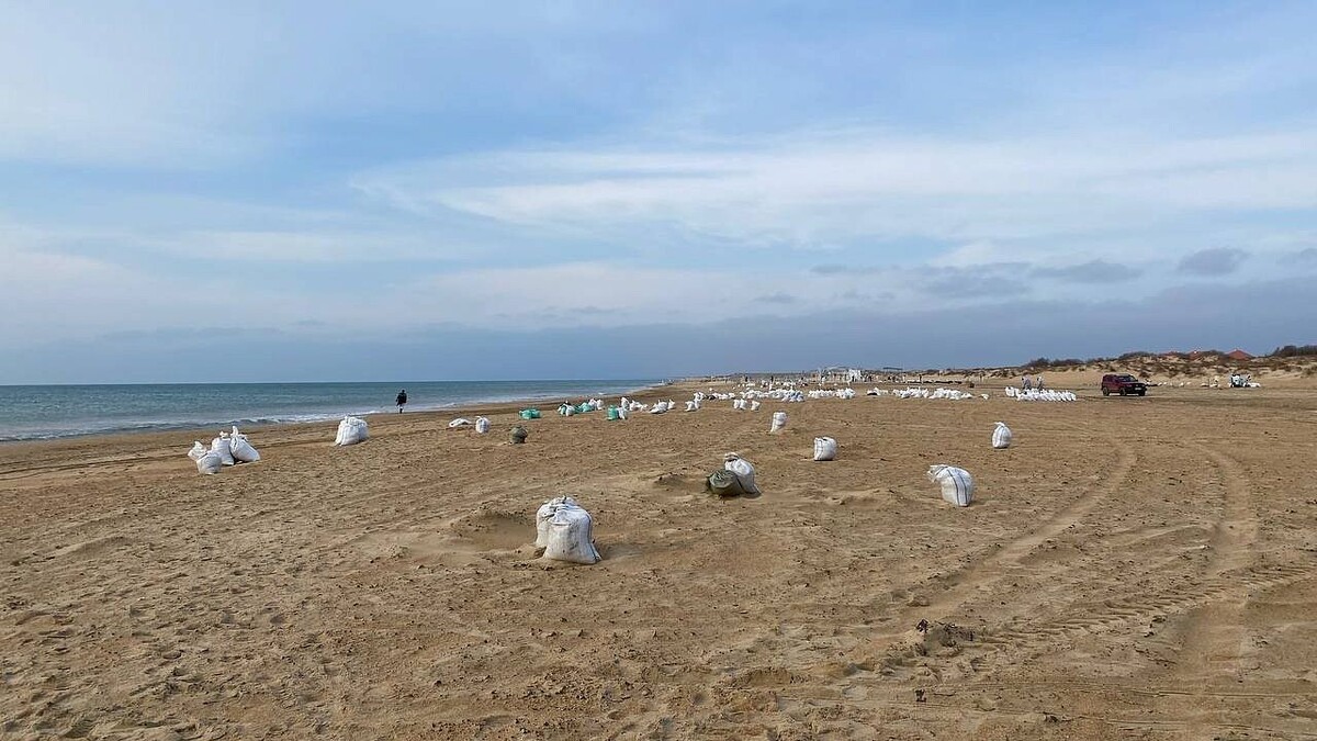    Фото: телеканал «Краснодар»