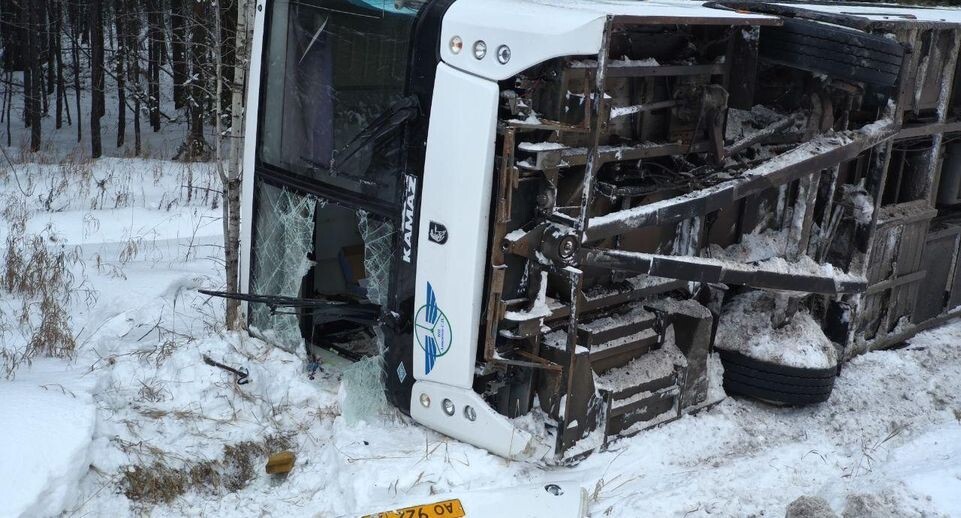    Госавтоинспекция Тюменской области / Telegram