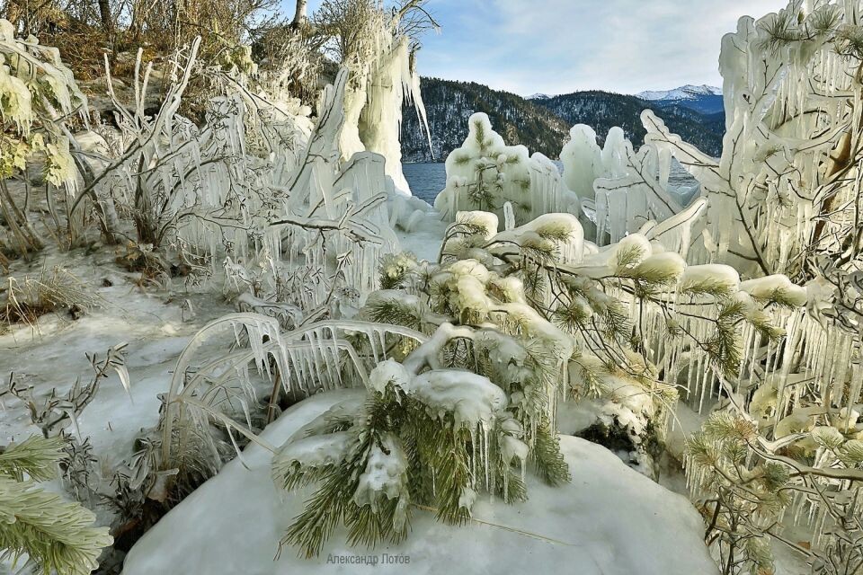    "Хрустальные" украшения берегов Телецкого озера . Источник: Александр Лотов/Алтайский биосферный заповедник