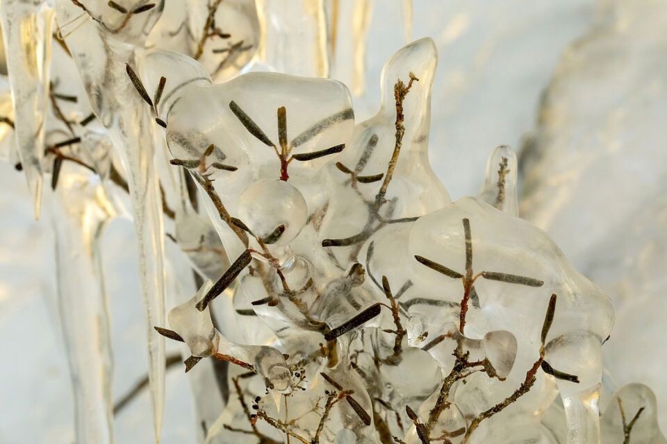    "Хрустальные" украшения берегов Телецкого озера . Источник: Александр Лотов/Алтайский биосферный заповедник