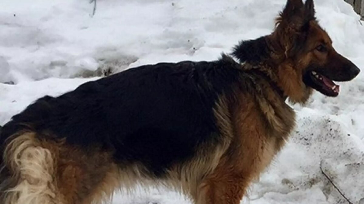     Источник: Пресс-служба УФСИН по Удмуртской Республике