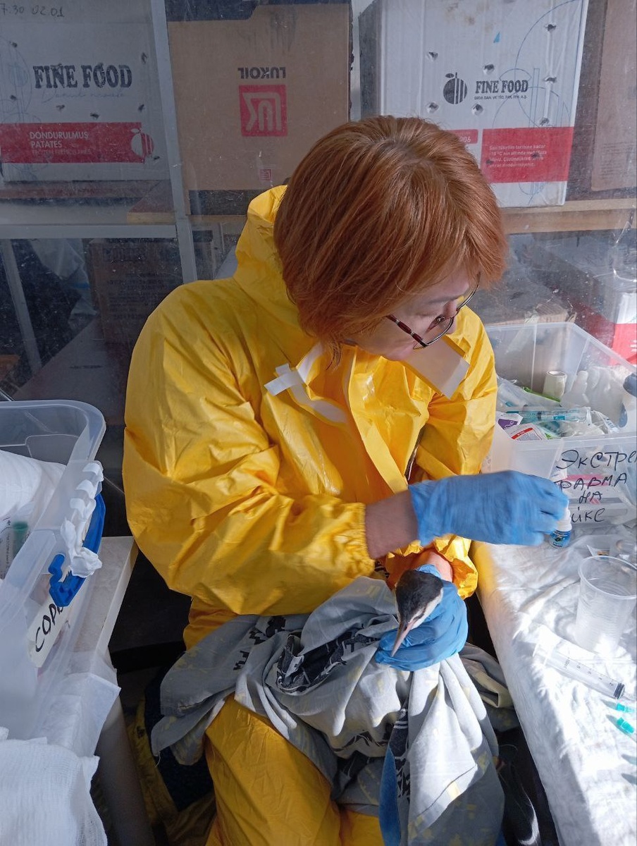   Фото предоставлено пресс-службой минздрава Омской области