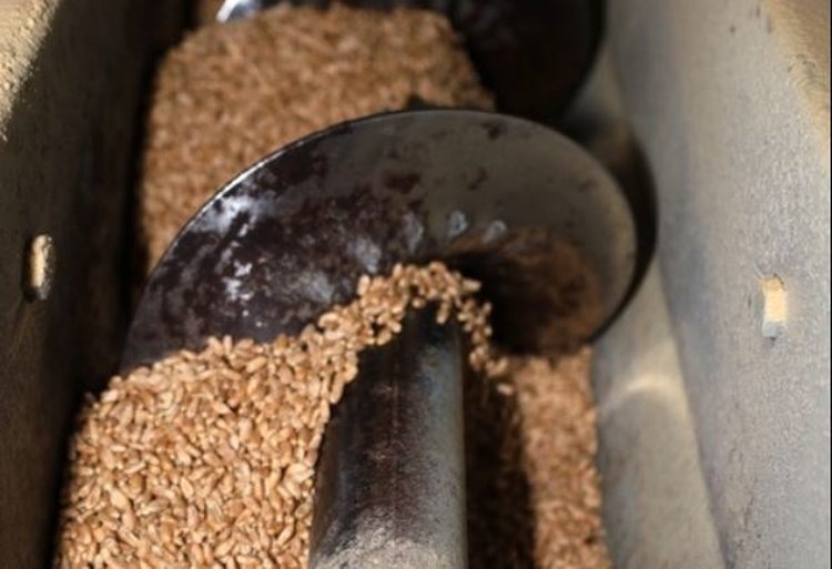    Мукомольное дело самарского бизнесмена началось с нуля и активно развивается