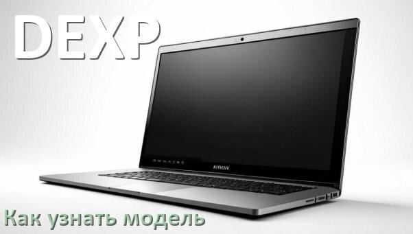 
Как узнать модель ноутбука DEXP по серийному номеру, через командную строку и BIOS/UEFI
