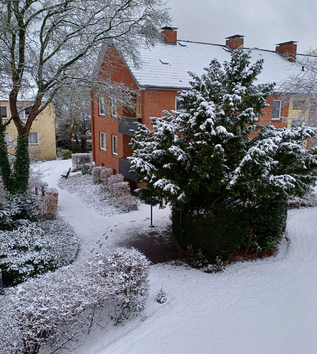 Спустя час.