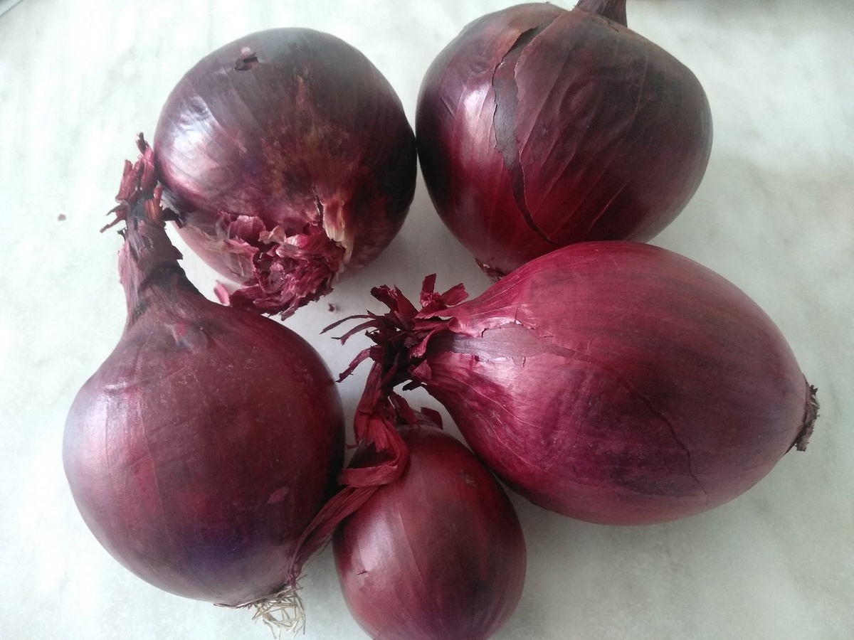 Бордовый лук сладких сортов