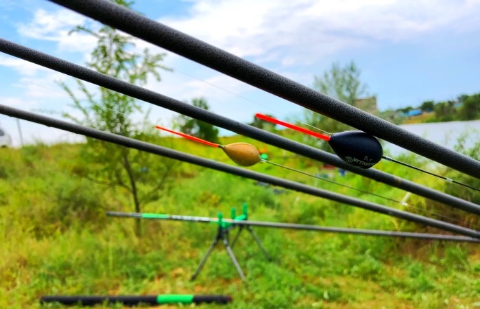 Фото взято с Яндекса