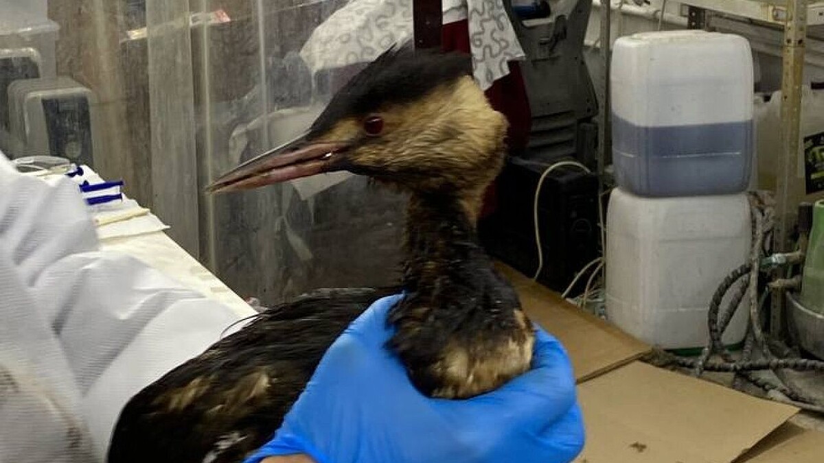    Фото: телеканал «Краснодар»