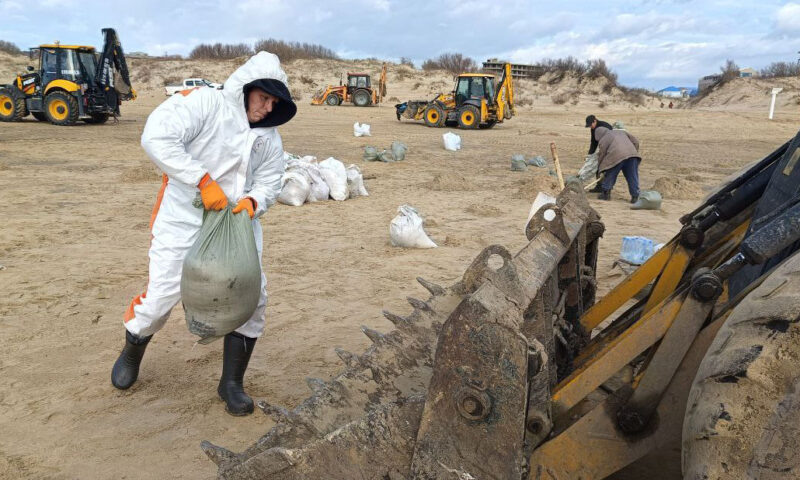    Фото Юлии Симатовой, «Кубань 24»