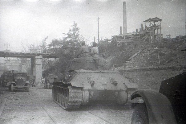 Подборка фотографий.