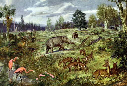 Миоценовый ландшафт